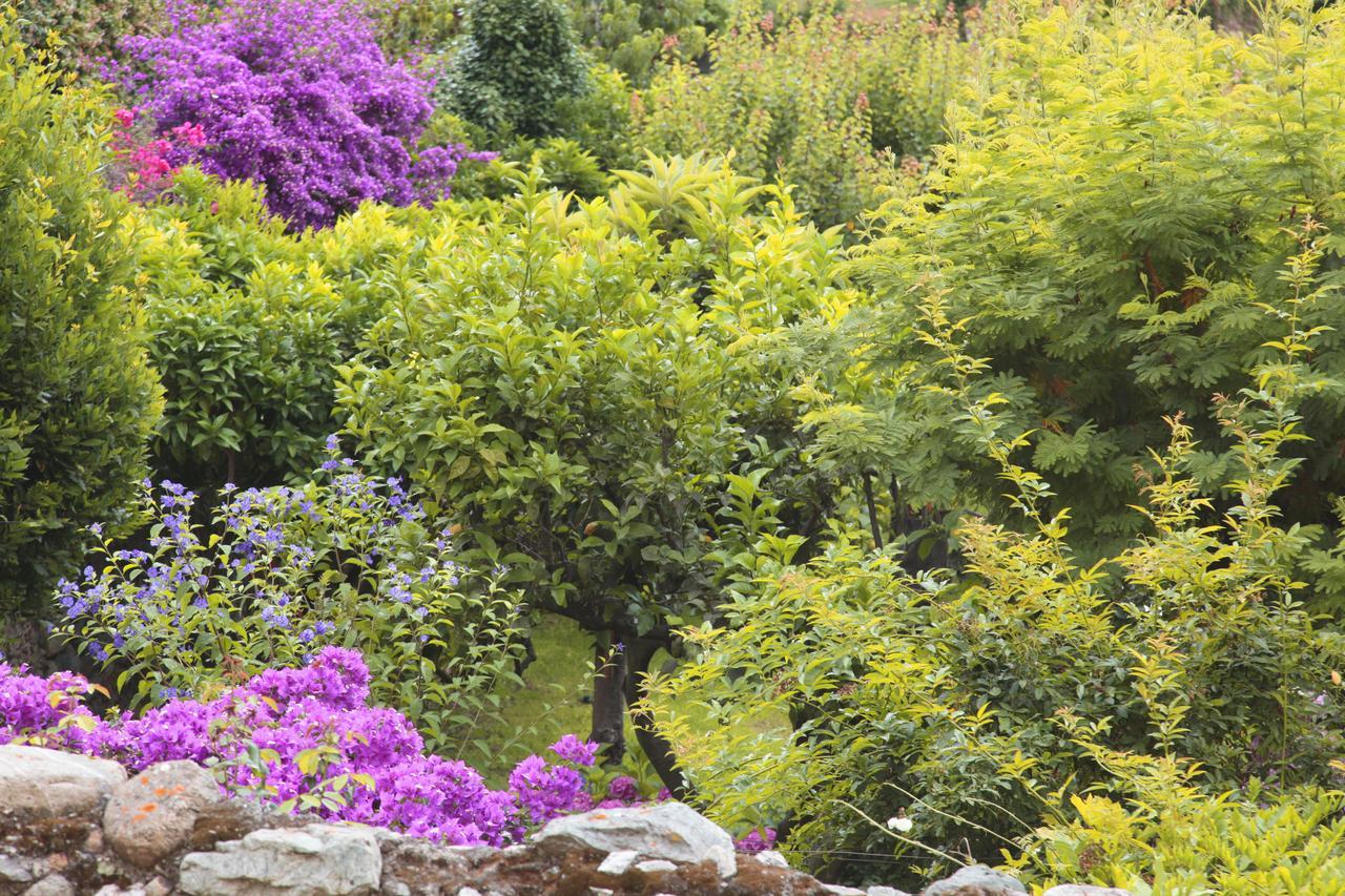 Casa Nobile Bed & Breakfast Tovo San Giacomo Exterior photo